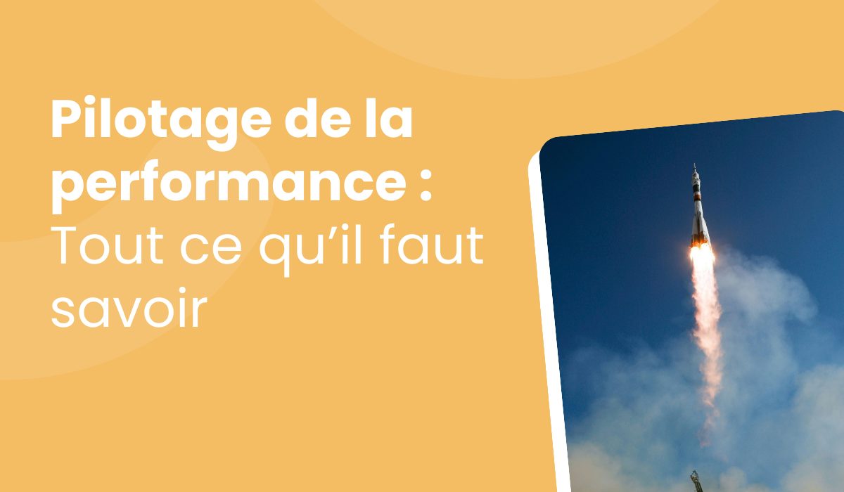 Pilotage de la performance : Définition et usage